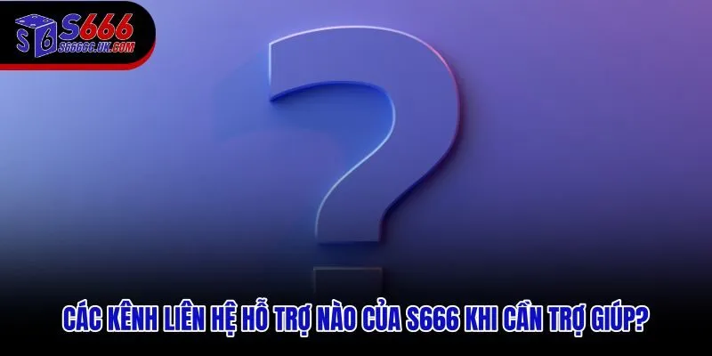 Kênh hỗ trợ chính thức S666 phản hồi 24/7 qua chat và Telegram