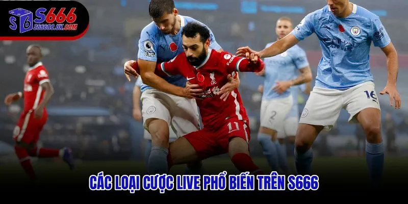 Thị trường cược live S666 với handicap và tài xỉu theo từng nhịp bóng