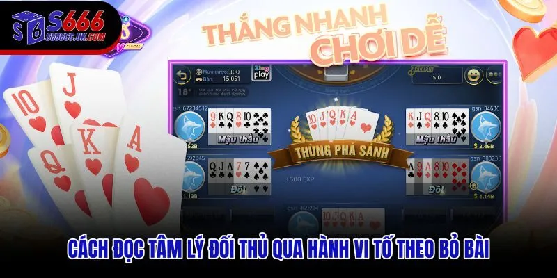 Kinh nghiệm chơi Xì Tố từ quan sát nhịp cược và phản ứng đối thủ