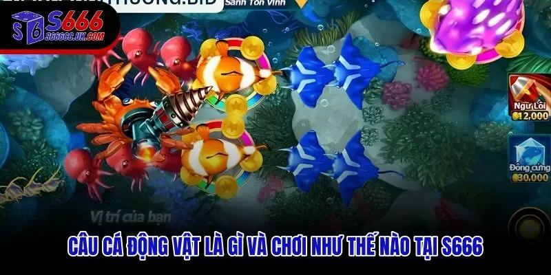 Câu cá động vật với cơ chế săn biển đổi thưởng trực tuyến tại S666