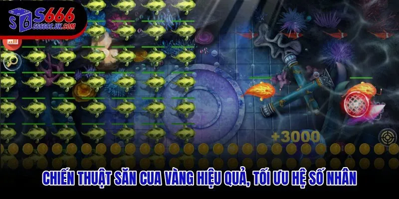 Chiến thuật săn Cua vàng kết hợp quan sát và kiểm soát tài nguyên từng nhịp