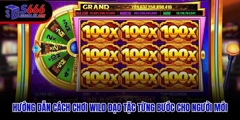 Cách chơi Wild Đạo Tặc theo trình tự thao tác dành cho người mới bắt đầu