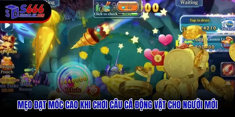 Chiến thuật câu cá động vật giúp người mới tích thưởng ổn định từng lượt