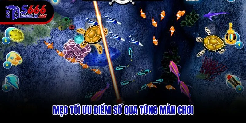 Quản lý đạn và nhịp bắn hiệu quả trong đại dương huyền bí