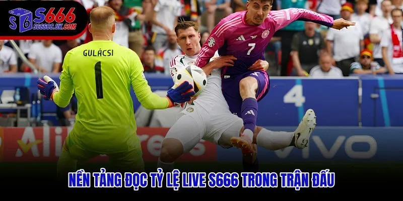 Cách đánh kèo rung S666 dựa trên dữ liệu trực tiếp và phản xạ nhanh