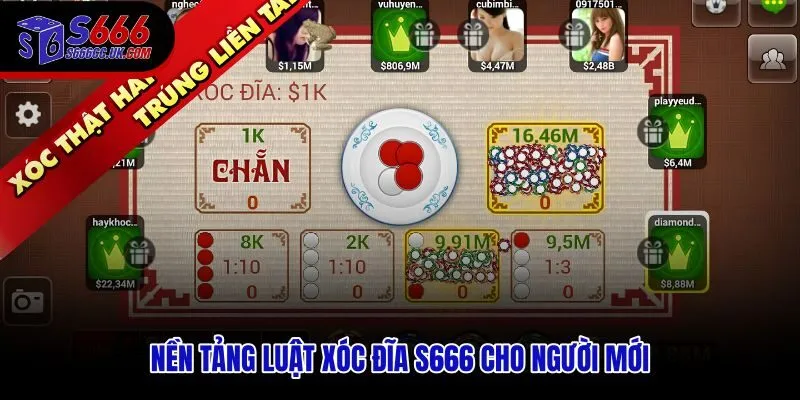 Kỹ năng chơi Xóc Đĩa S666 từ luật cơ bản đến cách đọc cầu