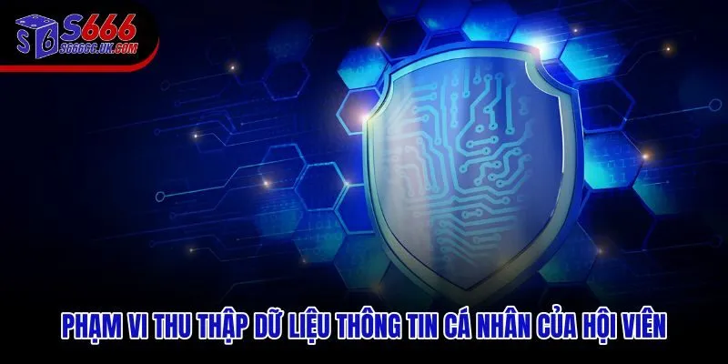 Chính sách bảo mật S666 giới hạn phạm vi thu thập dữ liệu theo nhu cầu vận hành