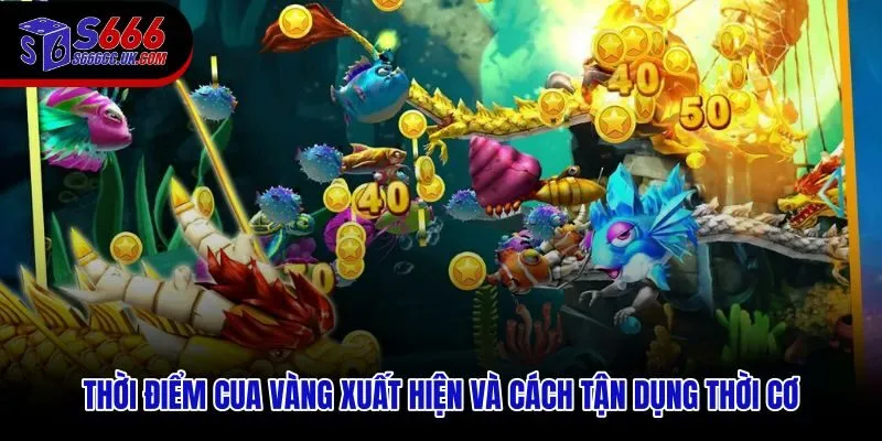 Cua vàng xuất hiện theo chu kỳ và cách tận dụng từng tình huống cụ thể